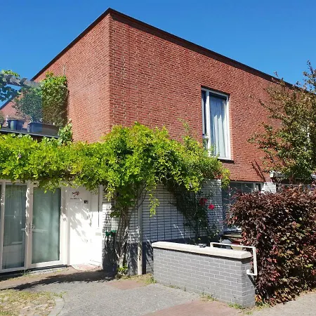 Johan's With Roofterrace And Cheap Parking - Since 2014 ホームステイ アムステルダム