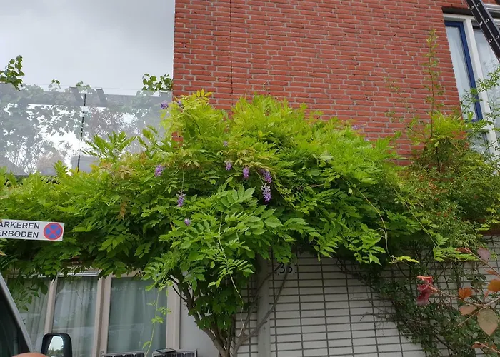 Johan's - Since 2014 Roofterrace And Cheap Parking 홈스테이